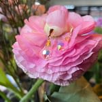 oostenrijks kristal oorbellen oorhangers 9k goud