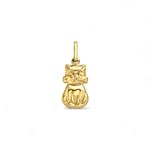 hanger katje poes hangertje van goud