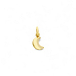 maan bedel van 9k gouden maantje