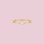 gouden ring met geboortesteen 14k