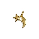 gouden ster maan hanger 9 karaat goud