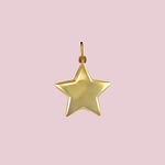 gouden ster bedel hanger