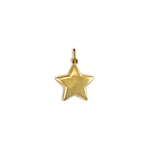 ster bedel goud 9 karaat
