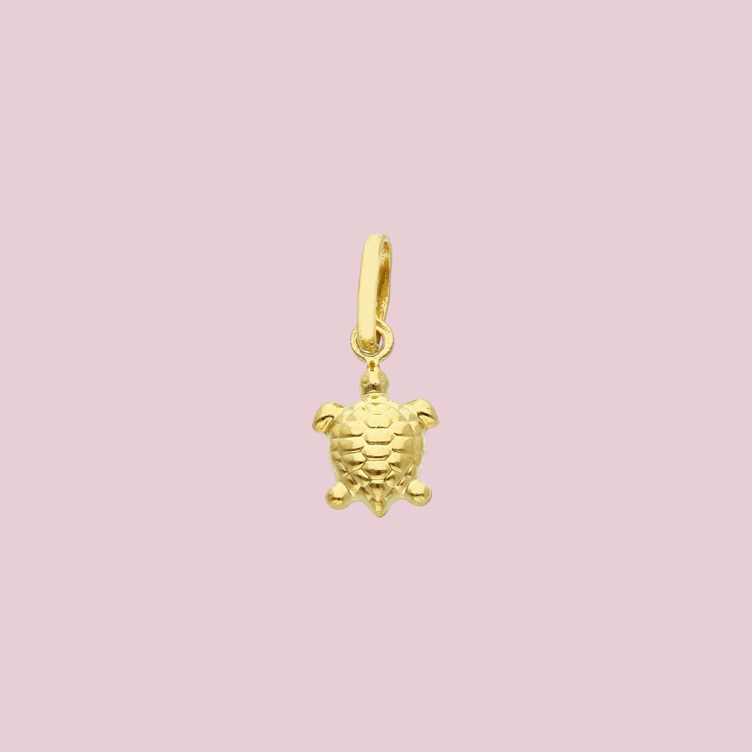 bedeltje van schildpad 14k goud