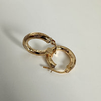gouden oorringen tube gedraaid