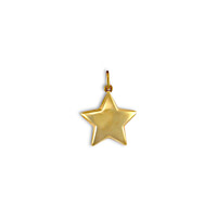 ster bedel goud 9 karaat