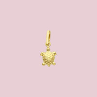 bedeltje van schildpad 14k goud