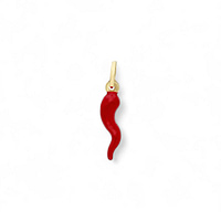 hangertje chili peper of lucky horn 14 karaat goud