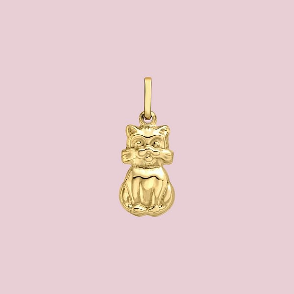 kat bedel hanger van 9k goud