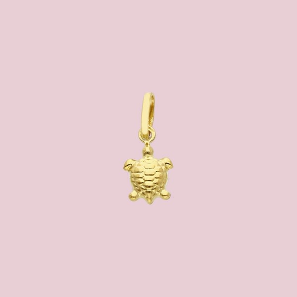 bedeltje van schildpad 14k goud