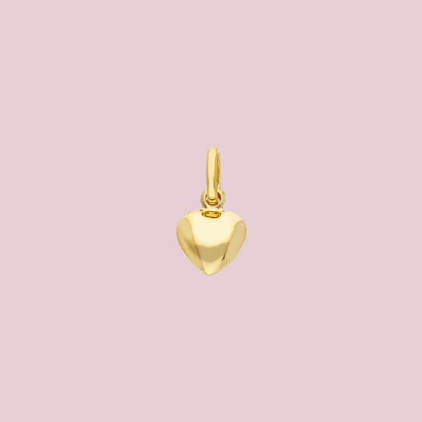 hangertje met hartje van 9k goud