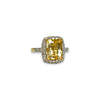 citrien ring met diamant halo 10 karaat goud