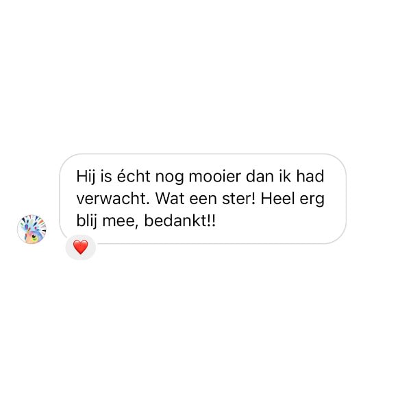 Reviews - Hij is echt nog mooier dan ik had verwacht. Wat een ster! Heel erg blij mee.